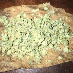 Meet your Posher, Cornell